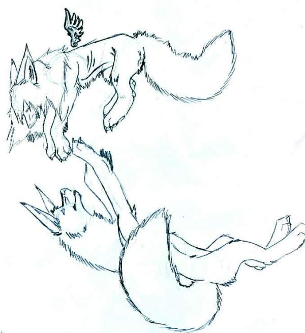 [{...F.i.N.d...L.o.V.e...F.i.N.d...H.o.P.e...}]