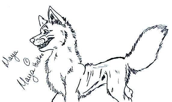 MayaHuskee Gift [1]