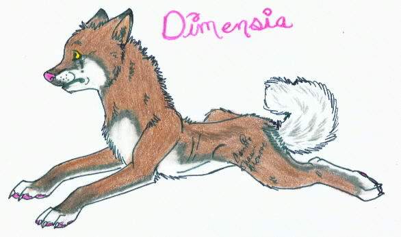 Dimensia
