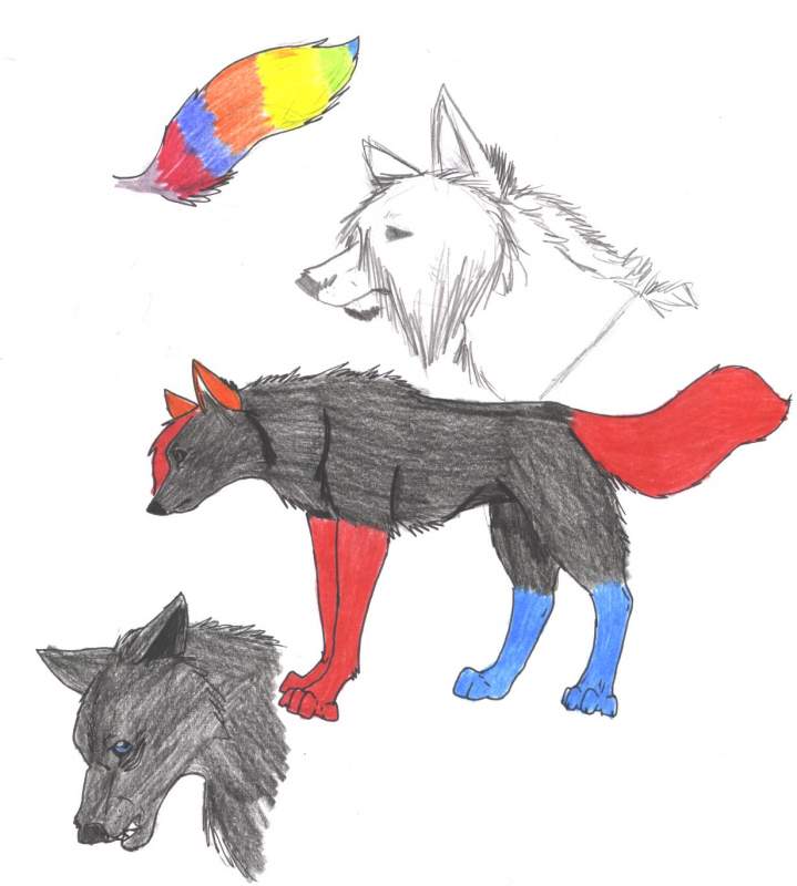 Some Sketches