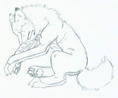MY Vash. >:[