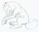 MY Vash. >:[