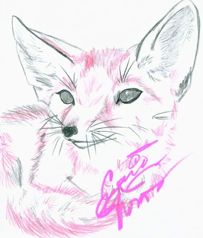 Little Fox, Little Fox