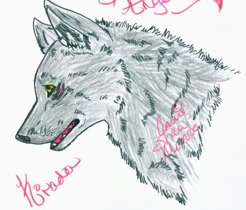 More Practice
