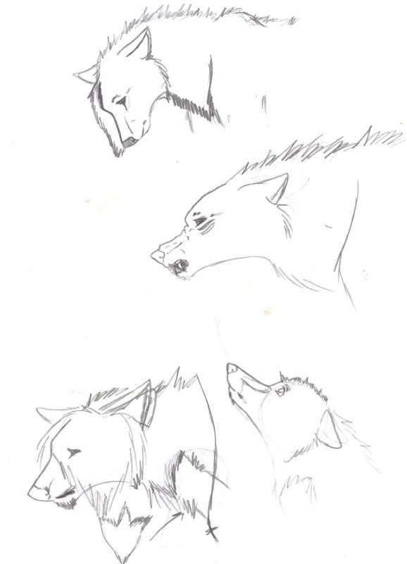 Random
