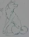 Anatomy Doodle