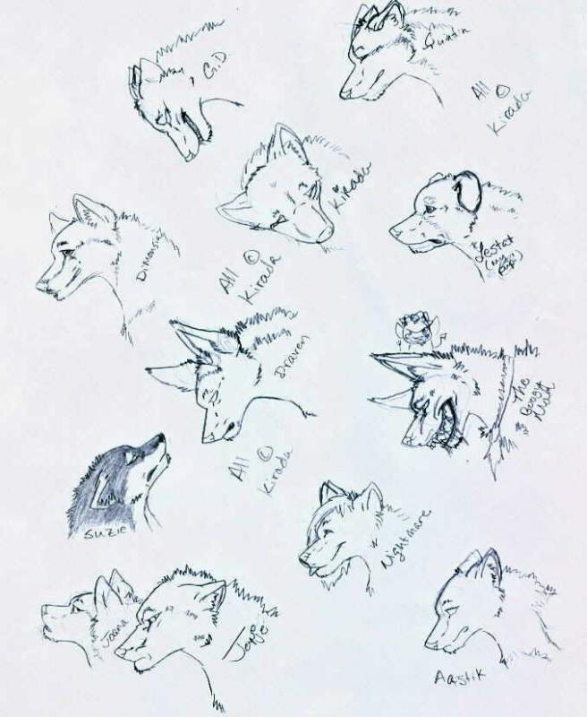 Characters