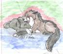 Zeil and Tasha ~2006
