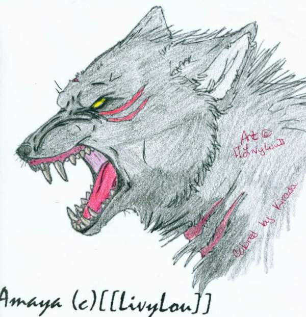 Amaya: Color Me In