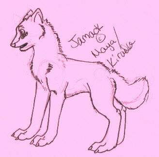 Jamack