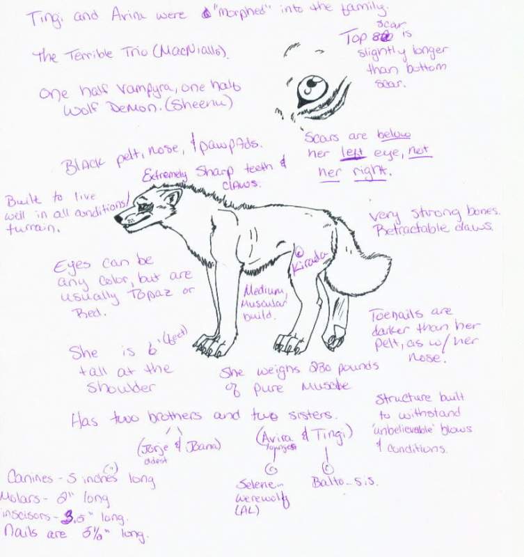 Kirada Reference