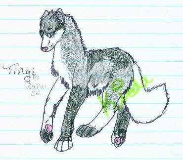 Tingi Gift Sketch