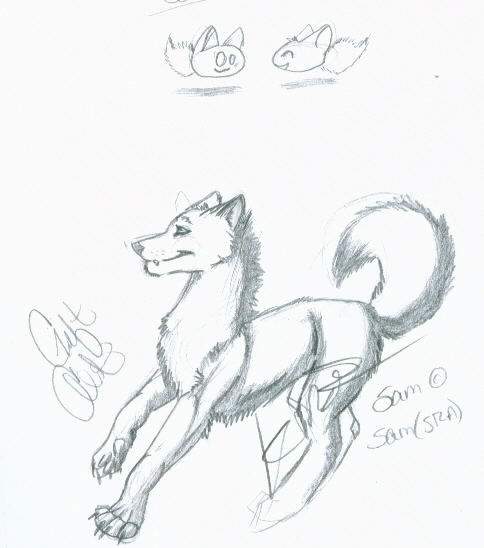 Sam(SRA) Gift Sketch