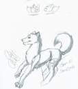 Sam(SRA) Gift Sketch