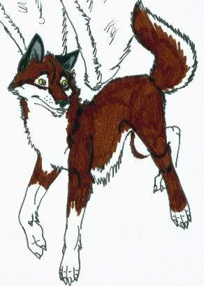 Balto 4: The Plague
