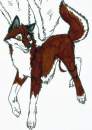 Balto 4: The Plague