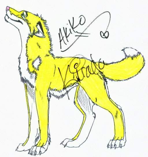 :Adoptable: AKIKO