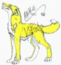 :Adoptable: AKIKO
