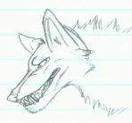 doodle