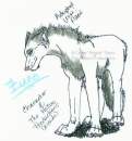 Zuno; Shank's Brother