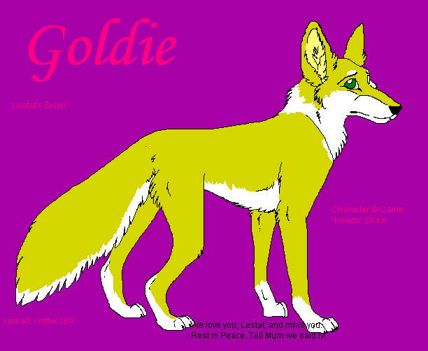 Goldie on Balto Source. o: