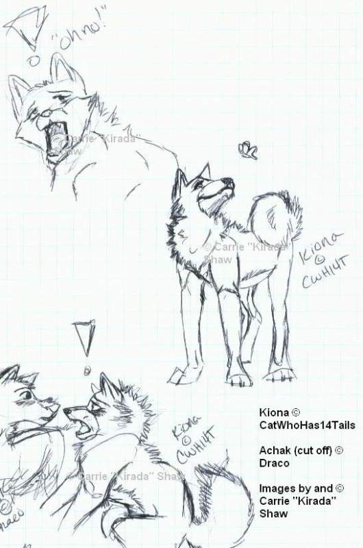 Doodles