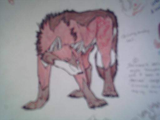 Brown Wolf's Fursona