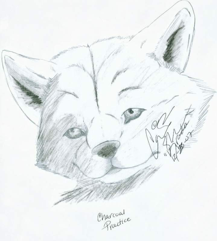 Charcoal Practice.