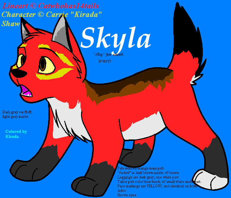 Skyla (Sky) my new fursona. ^_^ 
