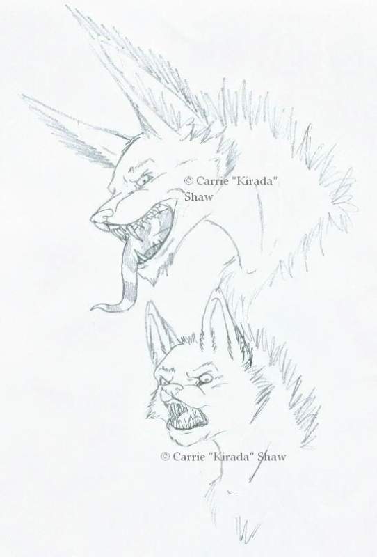 RoaR!