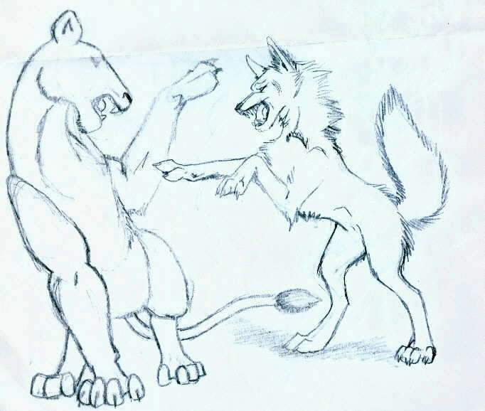 Lion cub VS. Wolf cub