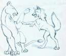 Lion cub VS. Wolf cub
