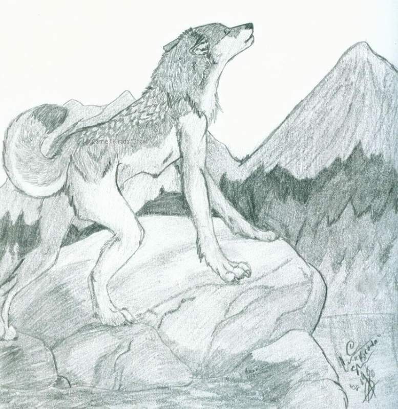 King of the Forest WIP.