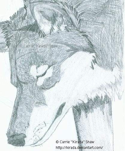 Whispers from a Lover Lost.
