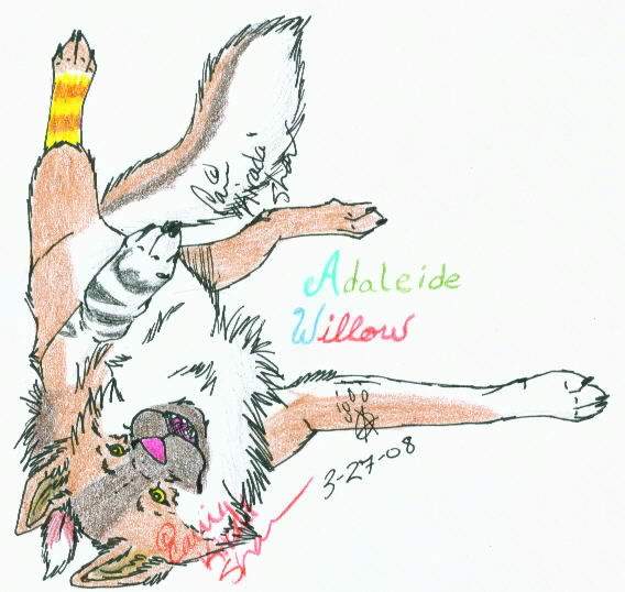 Willows Art: Request.