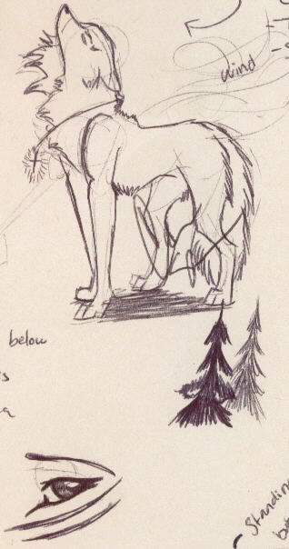 DtW Planning Sketch 2