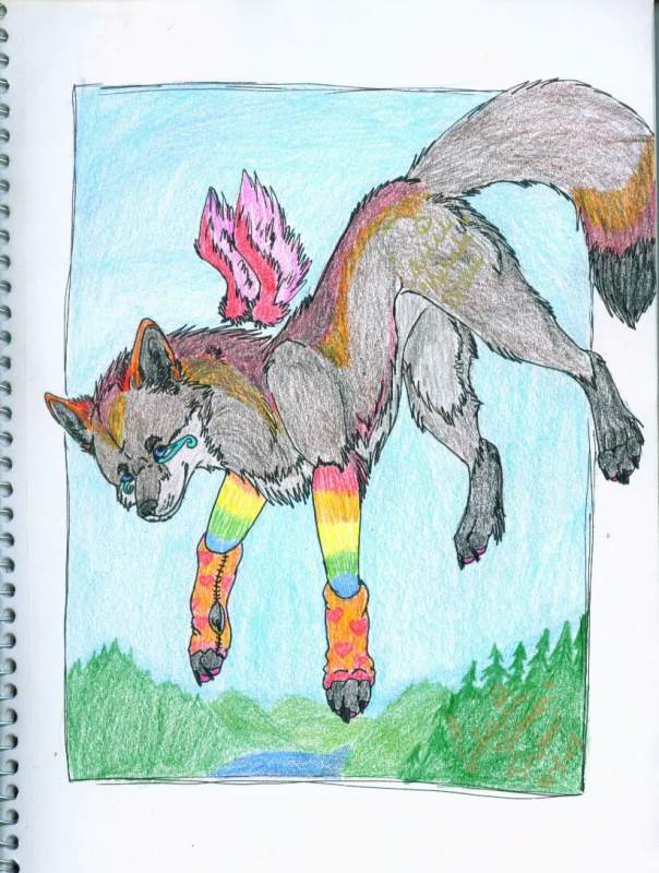 Sockz Request