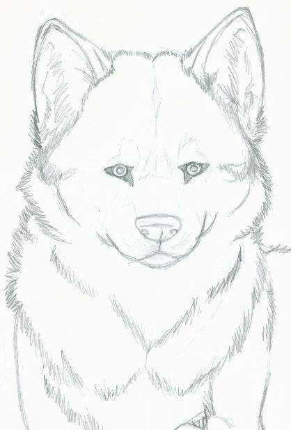 Did You Hear That? (WIP)