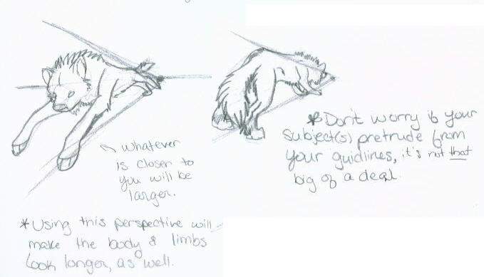 Perspectived Wolf