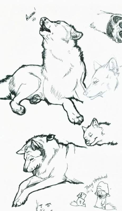 More Ink Doodles