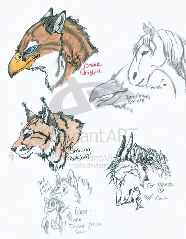Doodles (again).