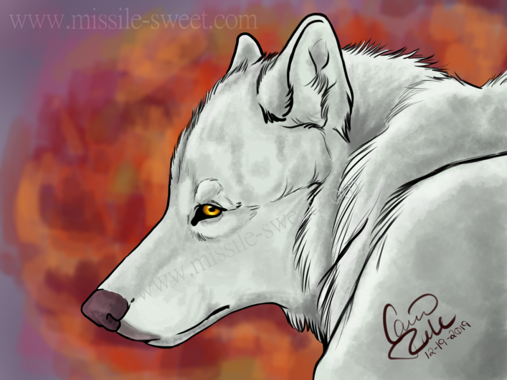 The White Wolf