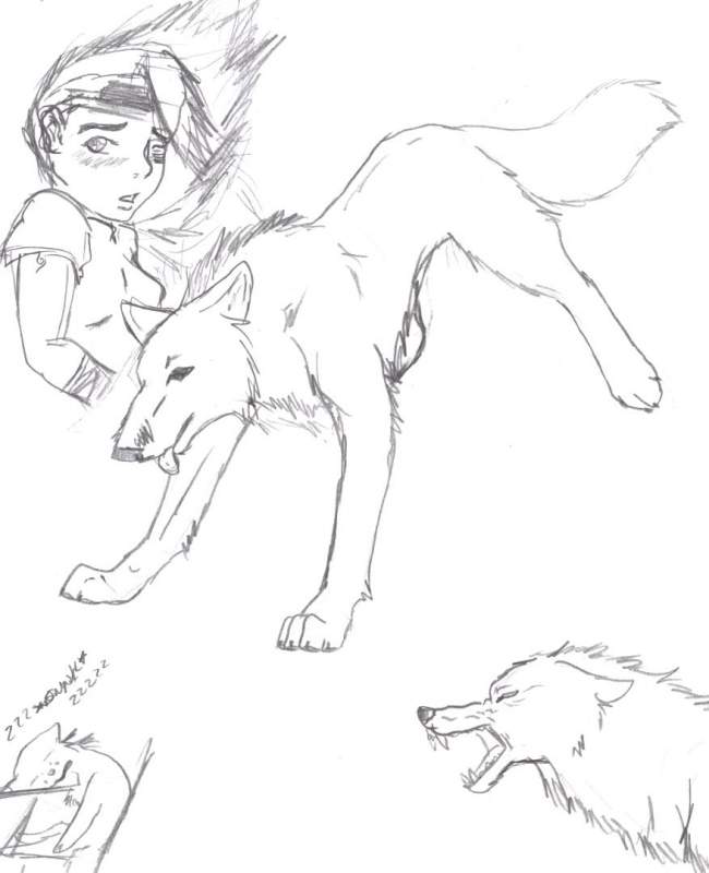Doodles