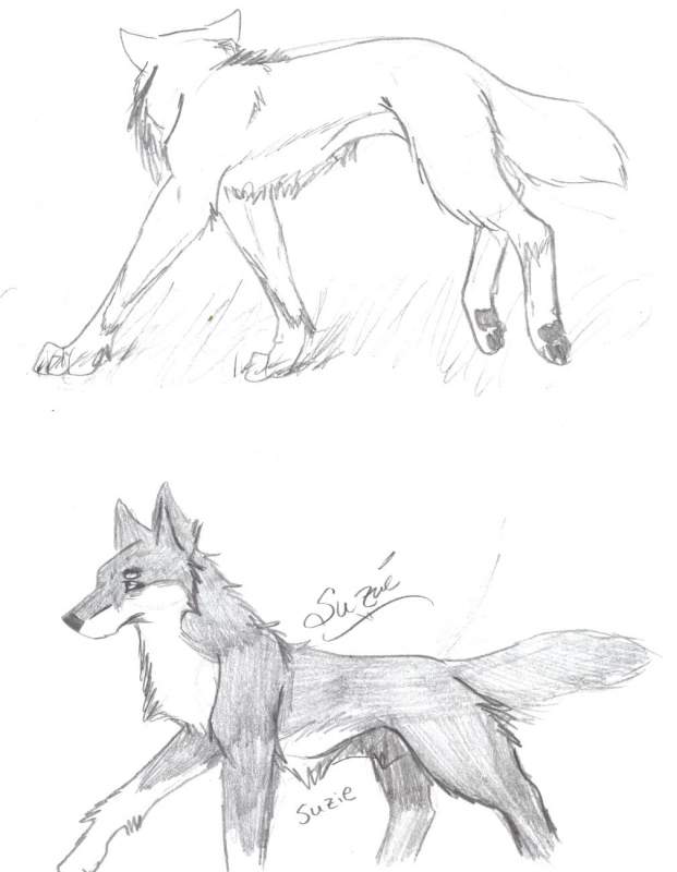 Doodles of Suzie
