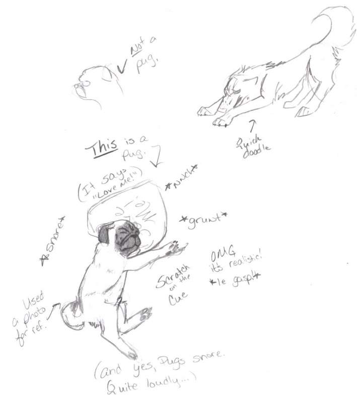 Doodles (more?!)