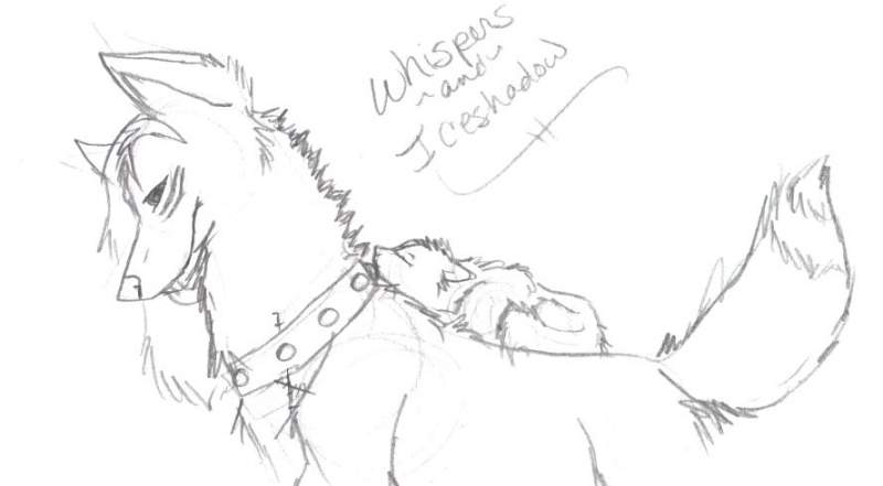 Whispers and Iceshadow
