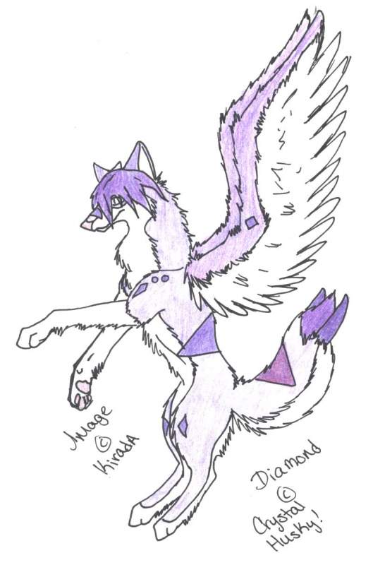 Diamond -ART TRADE-
