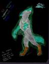 No -INVERTED-