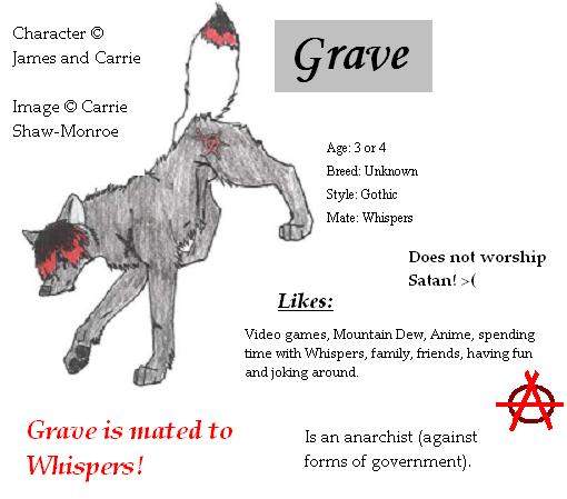 *PROFILE*: Grave