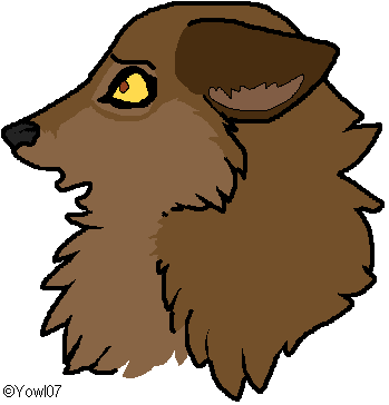 Balto Headshot
